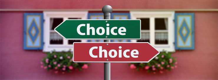 Choices: decision-making capabilities